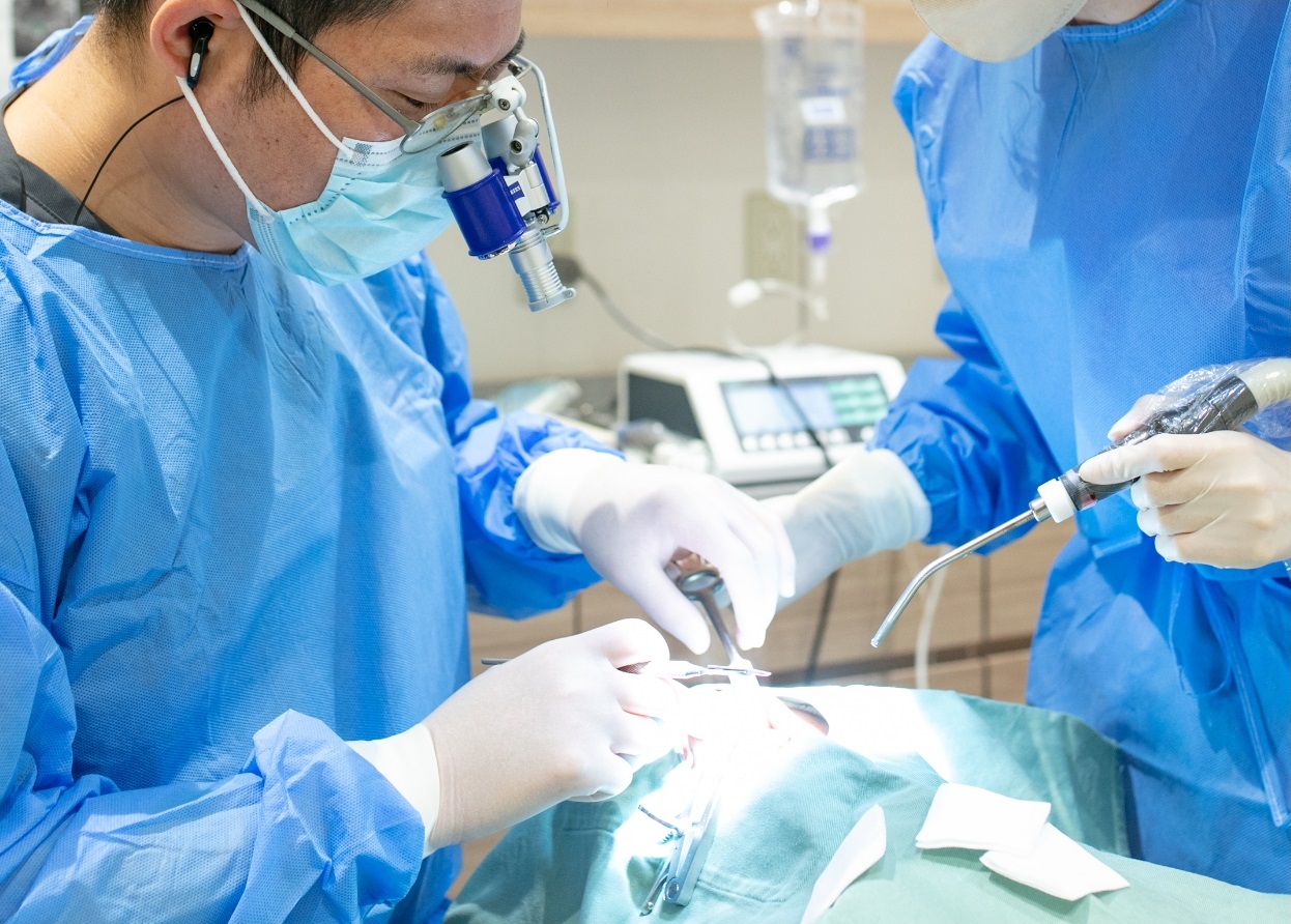 インプラントの実績で選ばれる歯医者の強み